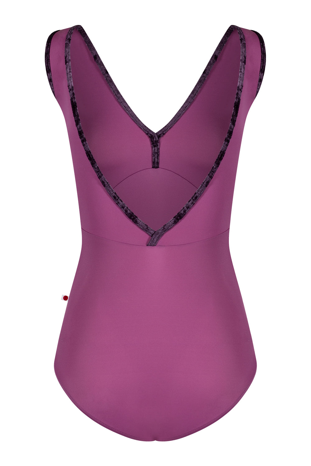 Alicia leotard in T-Vineyard body & top color with CV-Eggplant trim color