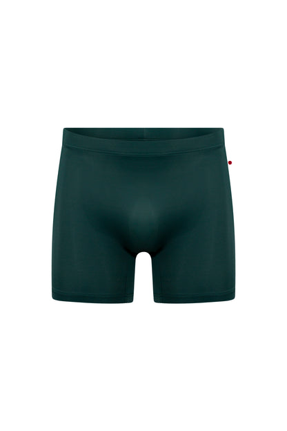 Steven shorts in T-Kale