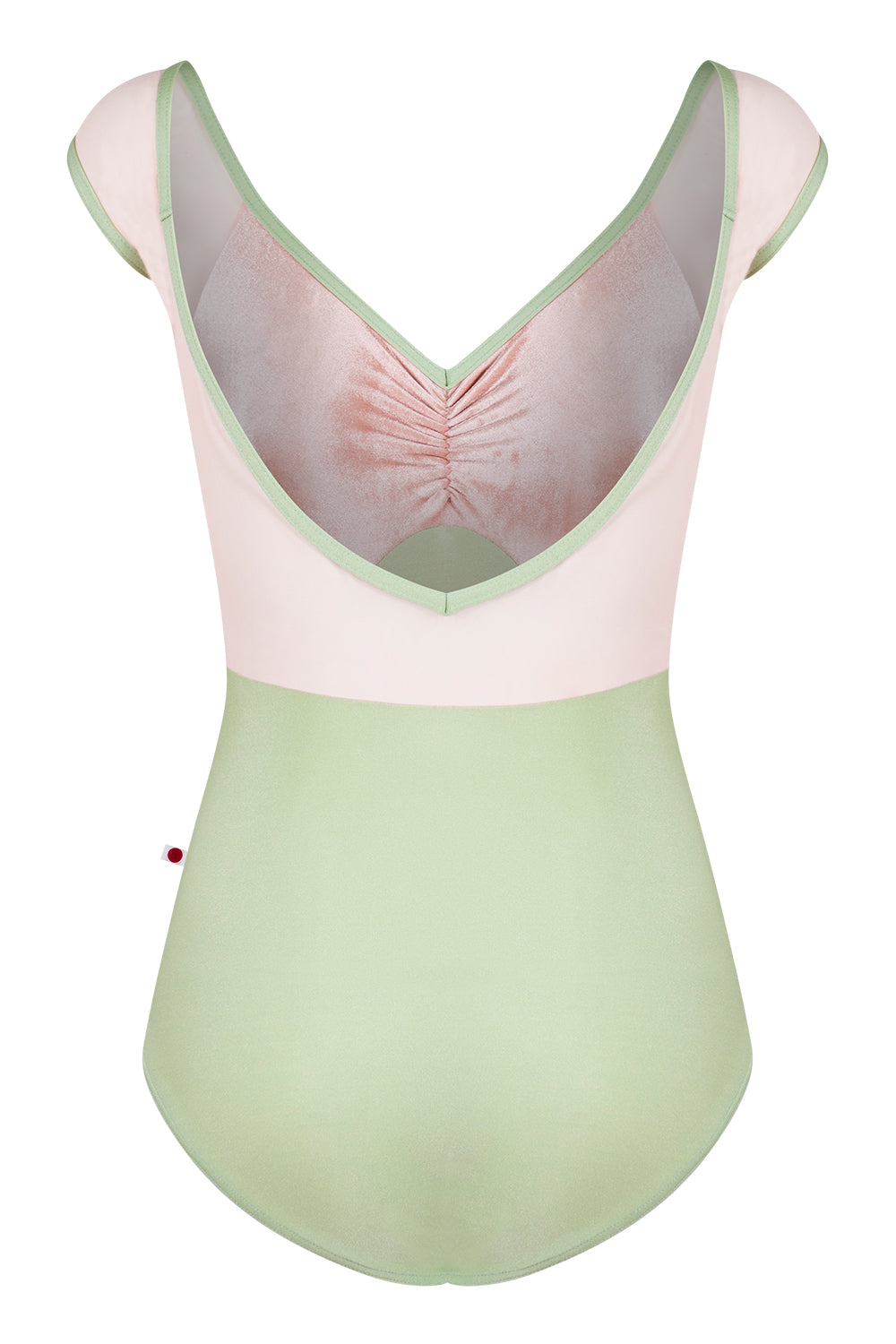 Elli leotard in N-Ginko body color with V-Blush top color, Mesh Blush cap sleeves and N-Ginko trim color