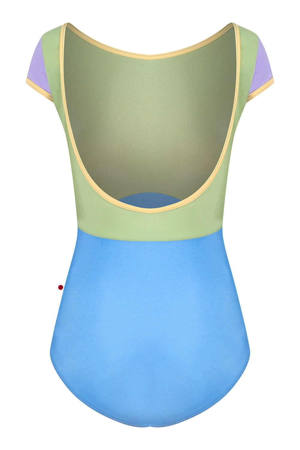 Sofiane Duo leotard in N-Moontide body color with N-Ginko top color, T-Vanilla trim color and N-Poem cap sleeve color