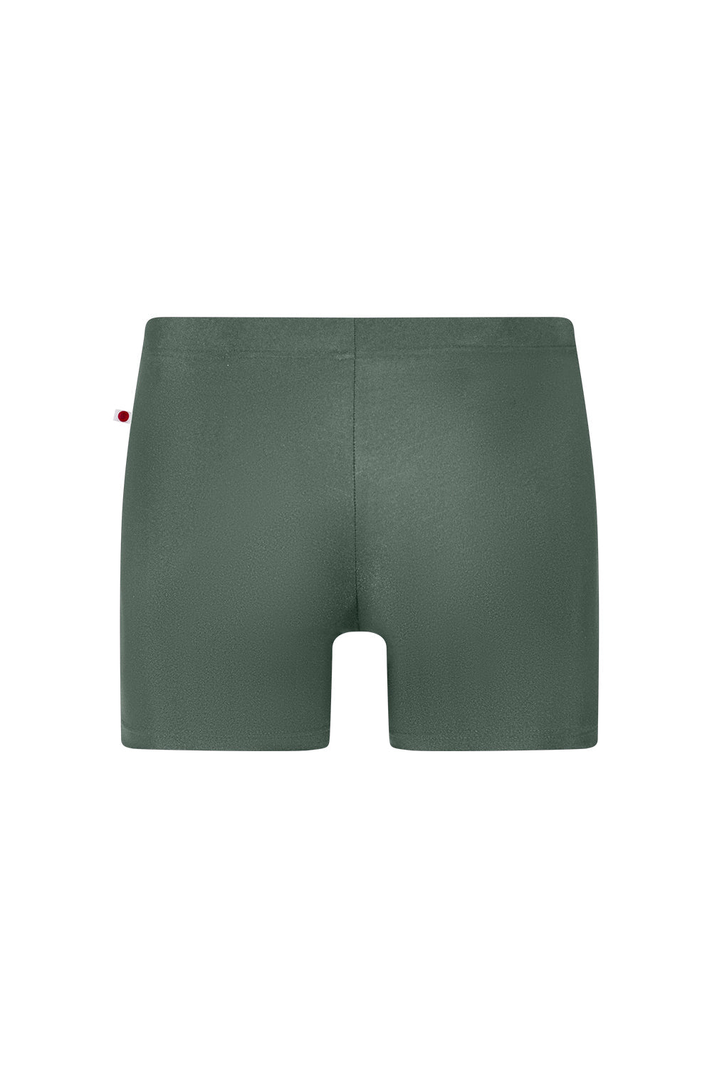 Steven shorts in N-Sage, variation short