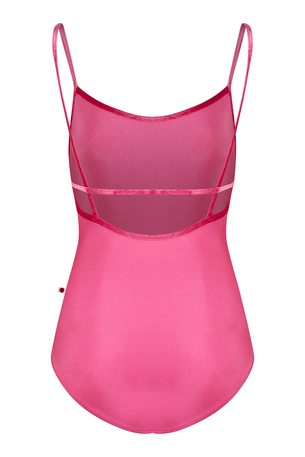 Heather leotard in N-Waltz body color with V-Peony trim color