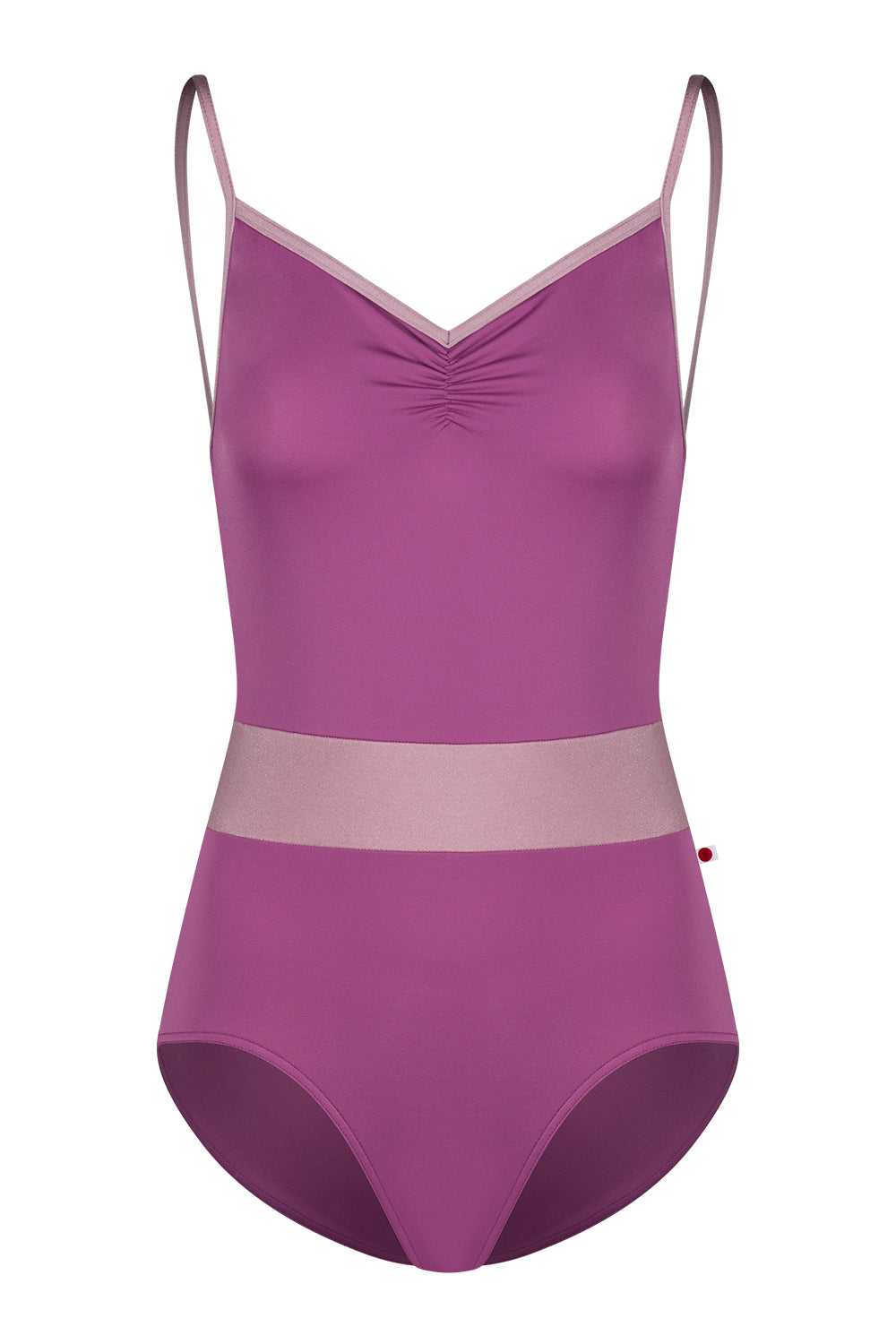 Micah leotard in T-Vineyard body & top color with N-Magic trim & middle band color