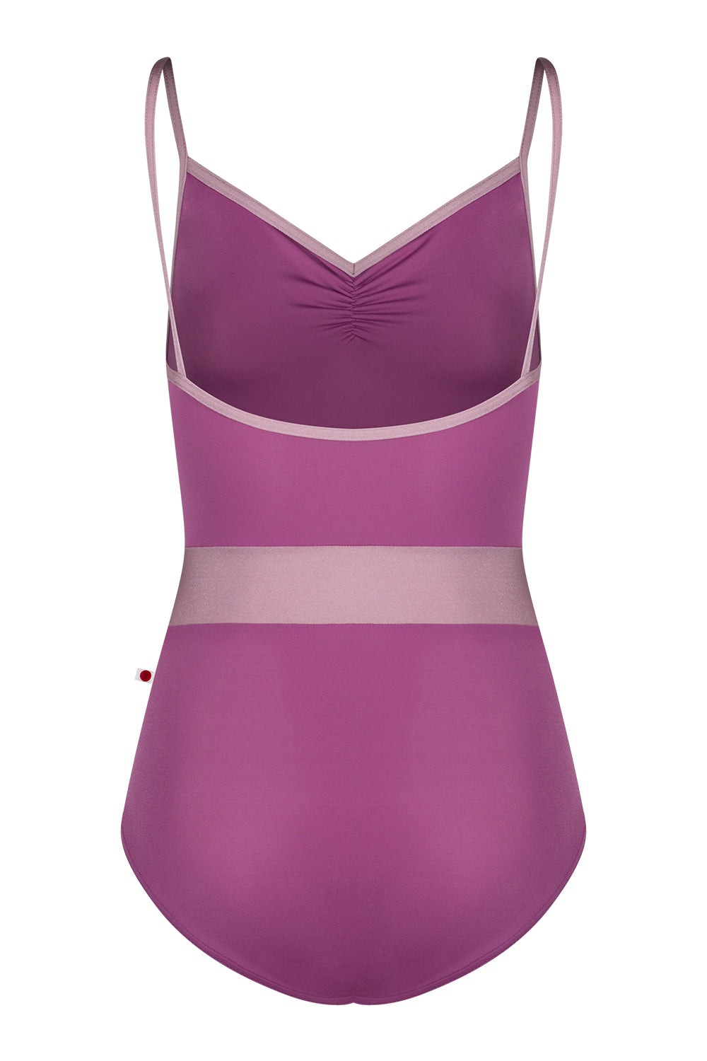 Micah leotard in T-Vineyard body & top color with N-Magic trim & middle band color