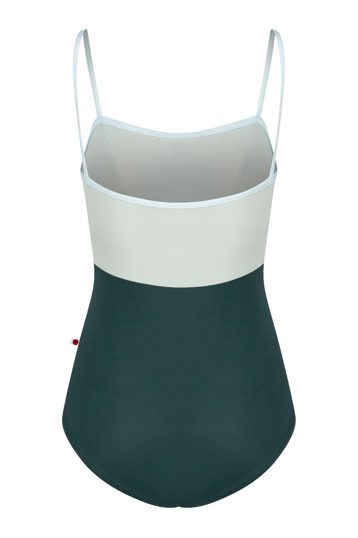 Denise leotard, pale ice-blue upper and a dark-green body, straight neckline with thin straps.
